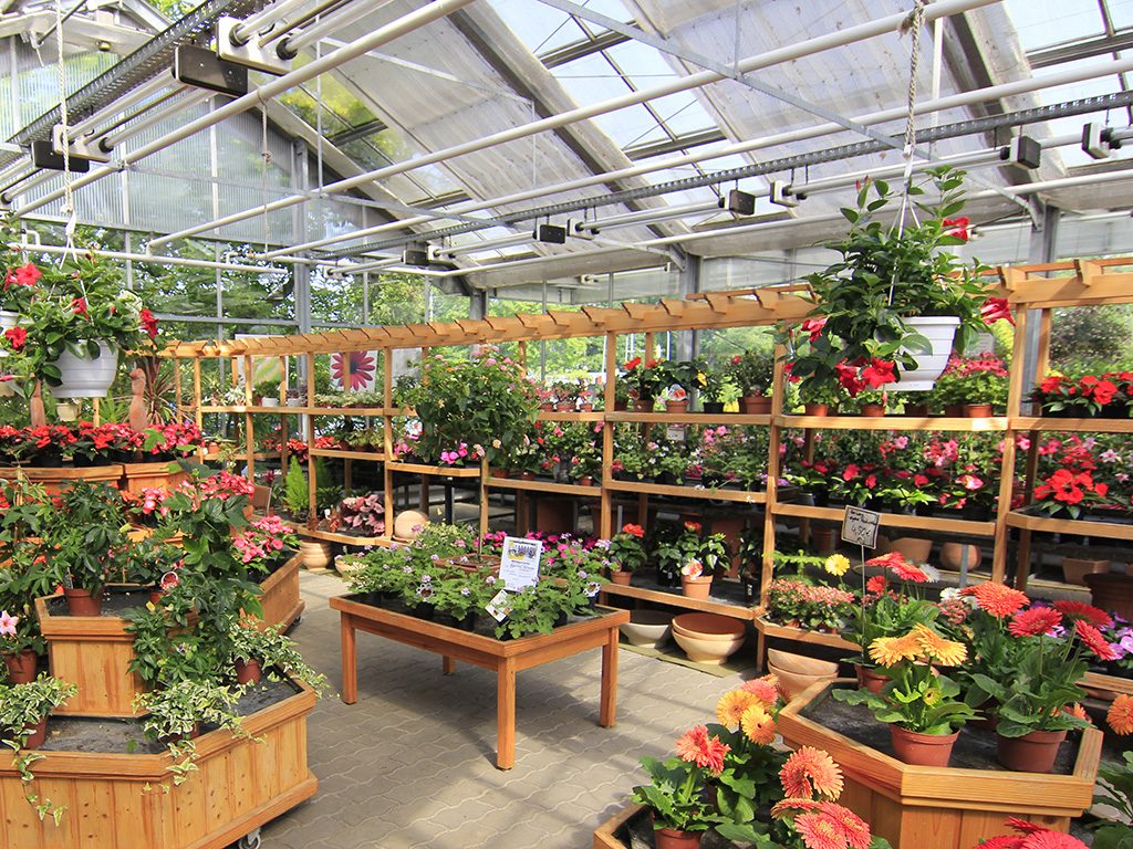 Gärtnerei Genz | Unsere Gärtnereien aus Berlin und dem Land Brandenburg.